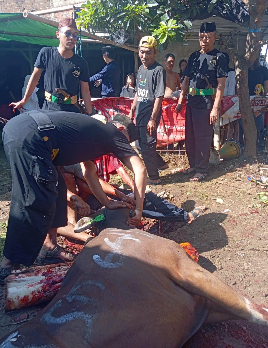 Bersama Jaringan, UPZIS Kemiri Muka Laksanakan Penyembelihan Qurban di 10 Lokasi se-Beji